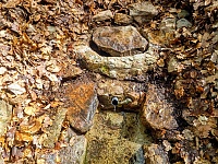 Foto záznam č. 1238 - Pod Medveďou skalou