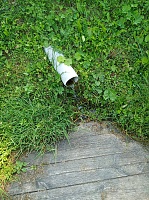 Foto záznam č. 1239 - Čarovný prameň