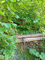 Foto záznam č. 1244 - Dunajov