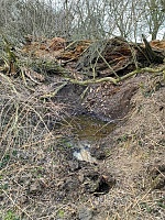 Foto záznam č. 1253 - Potôčky-Babindol